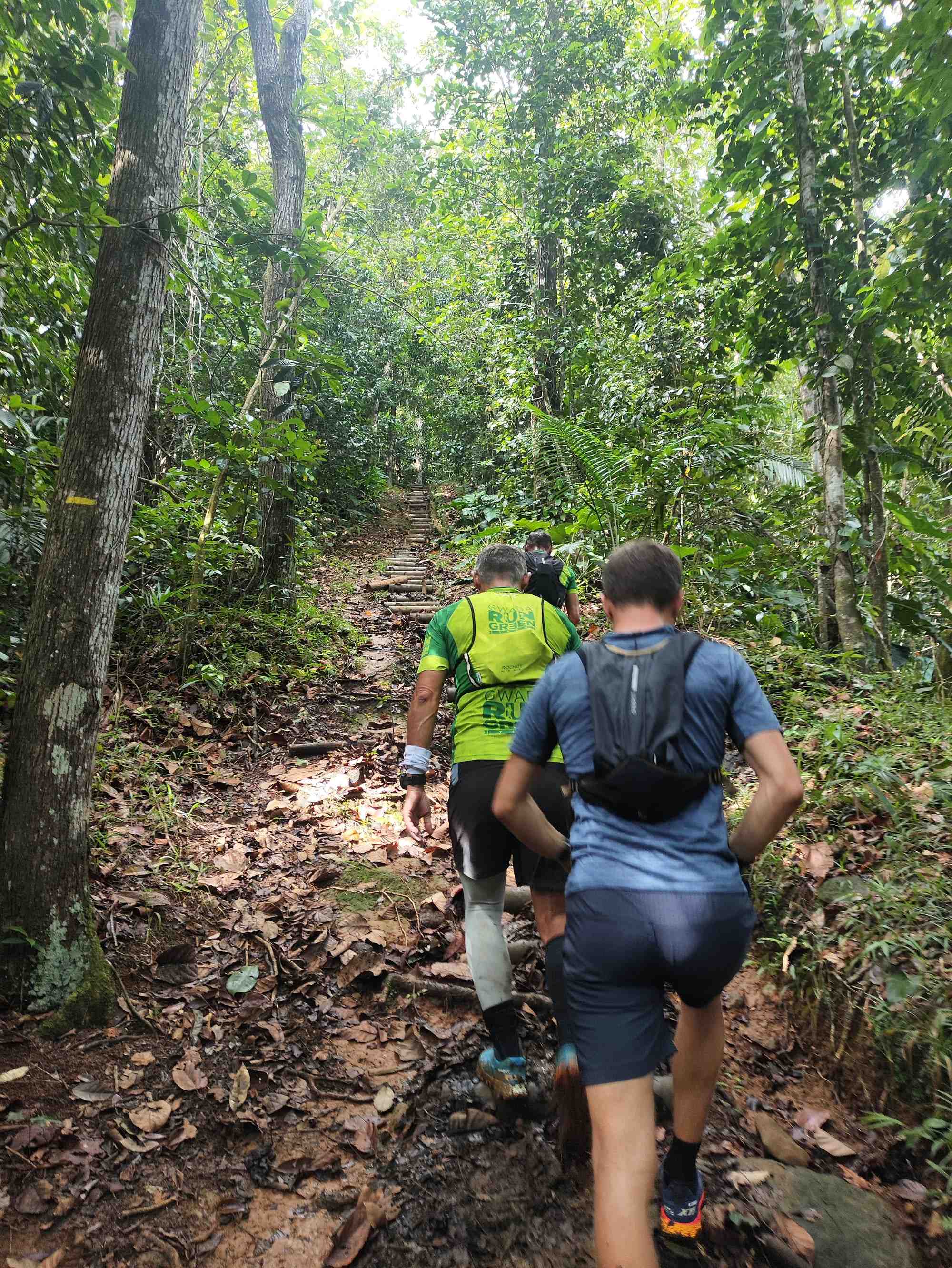 Coureurs de la Team Gwada Run Green en pleine montée sur une trace en forêt tropicale